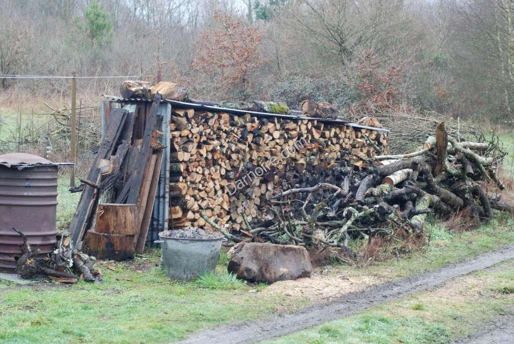 The full-to-capacity temporary wood store